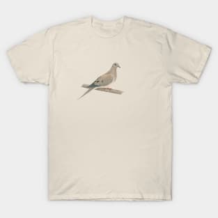 North American Holy Spirit T-Shirt